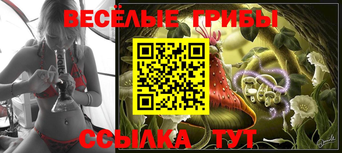 сколько стоит  Псилоцибиновые грибы Cubensis  Галлюциногенные грибы прущие грибы  Вход с VPN  Лесной 