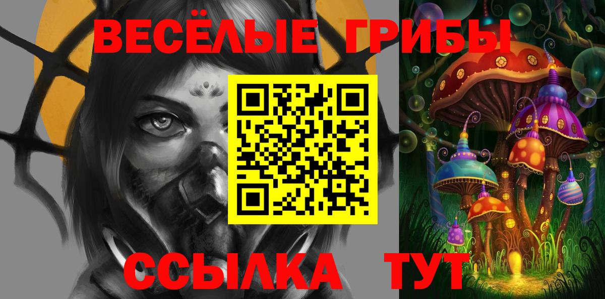 Псилоцибиновые грибы мухоморы Лесной